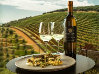 托卡拉葡萄酒分享：品尝顶级美酒，享受完美人生!