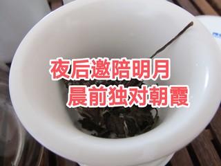 茶道人生 篇四十九：夜后邀陪明月，晨前独对朝霞