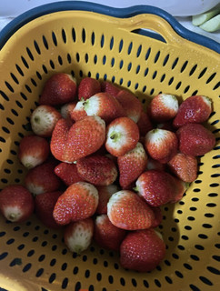 四川草莓