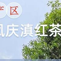 创作众测合集 篇二十一：创作赢众测必中-云南凤庆滇红