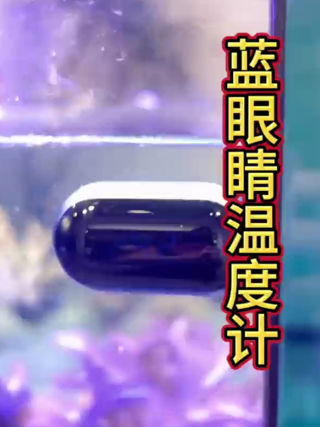 外贴式鱼缸温度计它来了，颜值非常给力！快给你的鱼缸安排一个吧