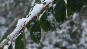 下雪天你会想到什么。