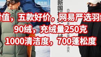 绝对值，五款好价，网易严选羽绒服，90绒，充绒量250克，1000清洁度，700蓬松度。