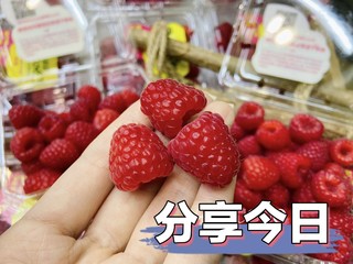  怡颗莓·树莓