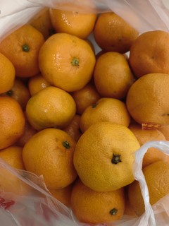 路边10元6斤的橘子可以买