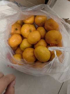 路边10元6斤的橘子可以买