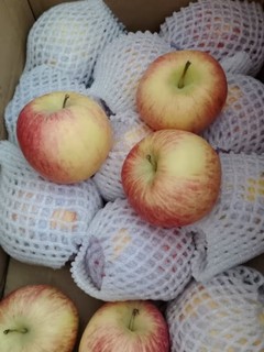阿克苏苹果水果 新疆阿克苏冰糖心苹果红富士丑苹果 新鲜时令水果礼盒 10斤装精选一级果 单果70-80mm