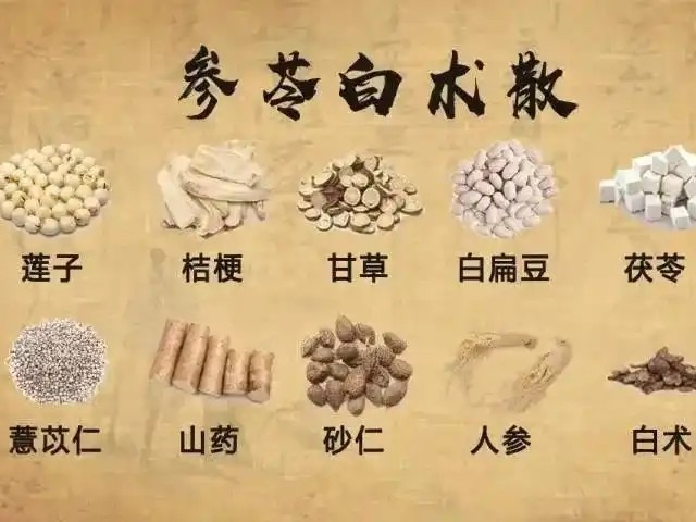 茯苓白术散成分图片