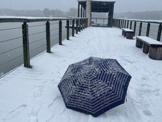 来雪地里撒个欢