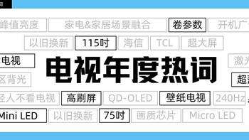 2023年家电年度行业回顾——电视篇