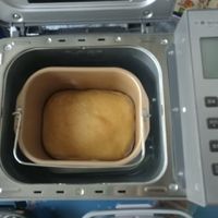 东菱（Donlim）全新升级面包机 全自动 和面机 家用 揉面机 可预约智能双撒 
