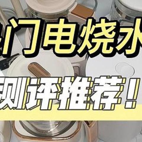 电烧水壶最好的品牌？实力推荐五大高性能产品