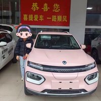 全款  东风纳米BOX 东风新能源汽车331KM续航纯电动汽车颜色与销售经理确认纳米BOX进阶型（351KM）
