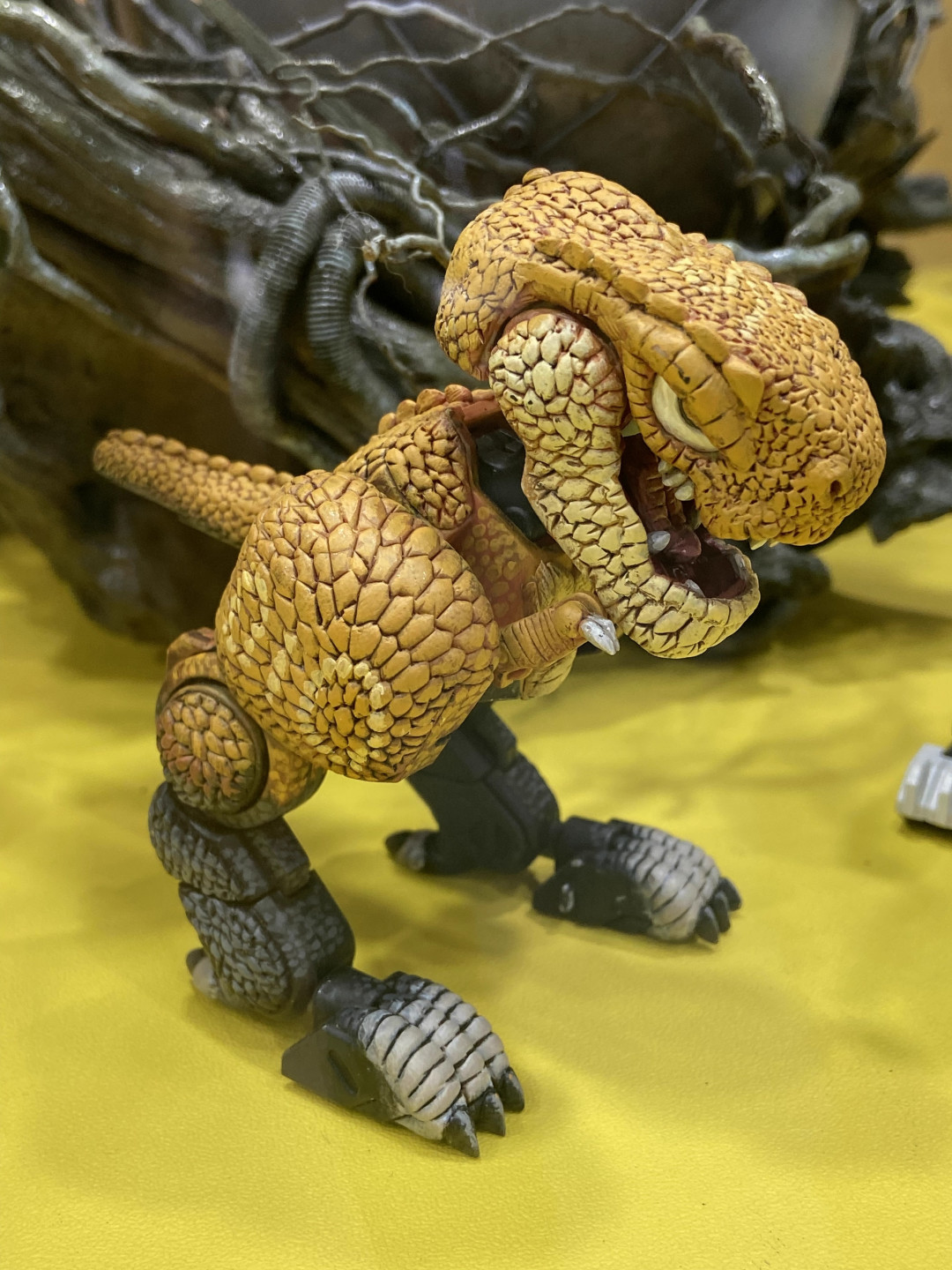 wf2023北京今日正式开幕