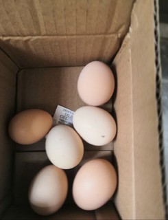 1元买的六个鸡蛋