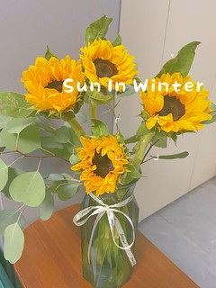 ☀️向阳而生，向日葵鲜花🌻让你的生活灿烂无比！