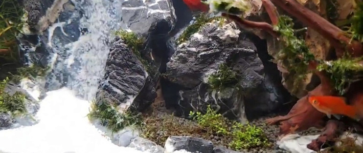 关于小米鱼缸造景之流沙瀑布!