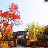 游览武汉黄陂大山里一座花乡景区：遍布古朴建筑，宛若江南庭院