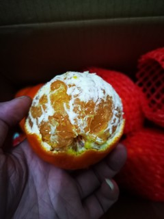 这个季节，爱媛38果冻橙无脑上吧