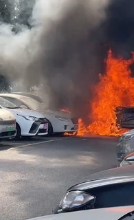 车着火了也是挺闹心啊