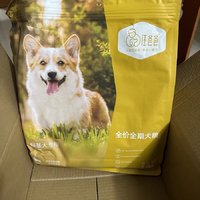 狗狗年货必备