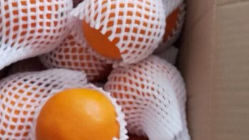京鲜生爱媛38号果冻橙精选特级果5kg礼盒装单果180-250g生鲜水果