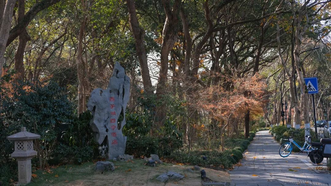 深藏西湖畔的园林仙境，一步一风景！冬日杭州这么玩才是最夯！