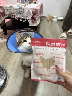 冻干鸡肉，让猫咪狗狗更爱吃！