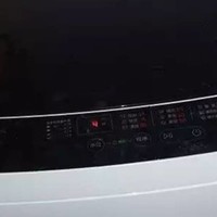 CHIGO 志高 XQB82-2010 定频波轮洗衣机