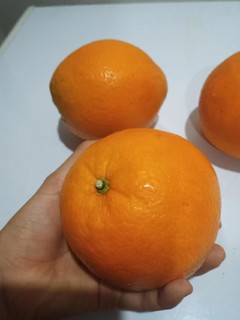 过年怎么少的橙子！“橙”心如意…