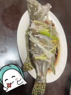 28元买了一条豹纹尾鱼🐟