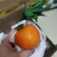 果冻橙，舌尖上的诱惑！