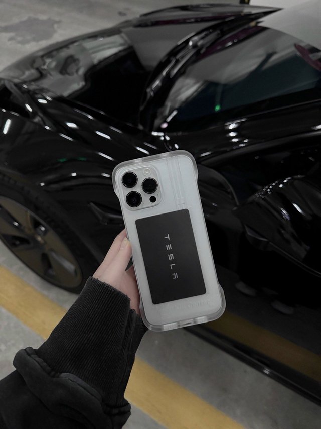 2024👋尊贵的特斯拉车主