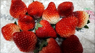 丹东99草莓，甜过初恋！