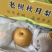 ￼￼京鲜生 青青大地老树秋月梨6斤 6-8粒梨子精品大果 水果礼盒￼￼
