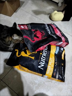 NUTRIENCE纽翠斯猫粮冻干进口黑钻系列红肉禽肉营养增肥发腮幼猫成猫粮 【咨询有惊喜】红肉猫粮11磅￼￼