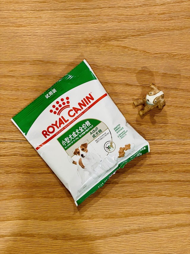 狗子不分贵贱，小土狗也能吃上皇族狗粮！