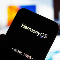 纯血鸿蒙 Harmony OS NEXT 一季度开放！1月18日揭露新篇章