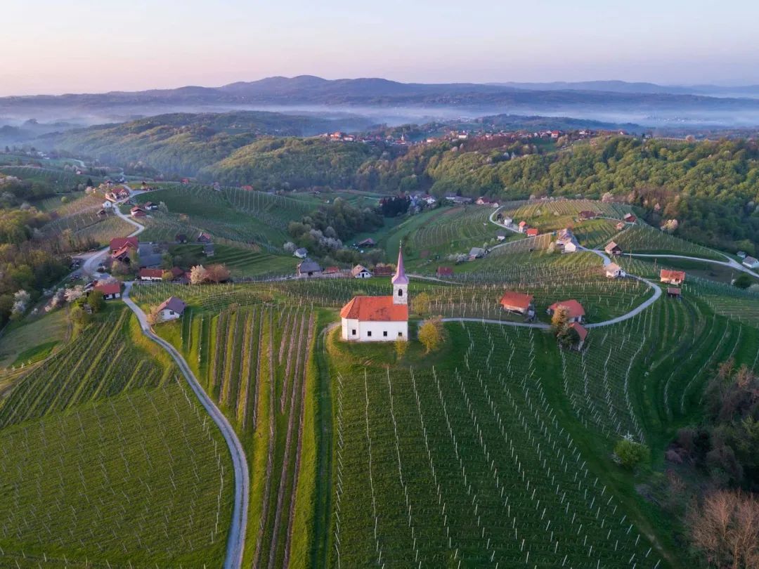 斯洛文尼亚葡萄酒产区概况