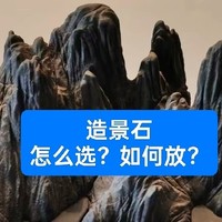 鱼缸造景石怎么选择和摆放？这4个方面，你需要重点注意