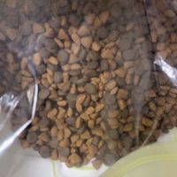 弗列加特 70%鲜肉含量 猫主粮全价无谷天然粮 1-7岁 成猫猫粮2kg