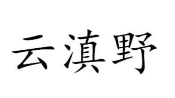 四川年货节 篇八十三：喜报~云滇野，入驻 第27届中国（四川）新春年货购物节