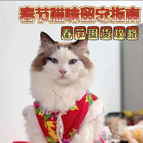 春节猫咪留守√好特卖宠物囤货指南