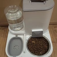 疯狂的主人猫咪自动喂食器饮水机一体猫碗猫食盆狗吃饭喝水猫粮机