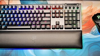 Neo的务实外设指南 篇一百八十三：RGB和性能都拉满 - 雷蛇黑寡妇蜘蛛V4专业版键盘 + 眼镜蛇专业版鼠标