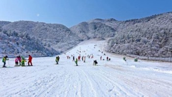 九宫山滑雪，速度与激情的碰撞！
