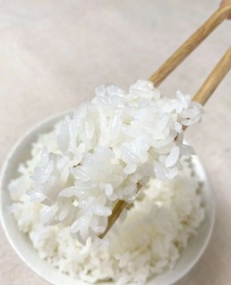 松下电饭煲，让米饭更香？