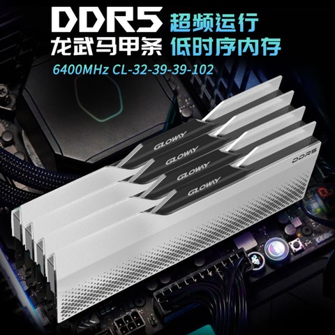 寒假学生装机的内存条怎么选，光威龙武DDR5便宜且大碗