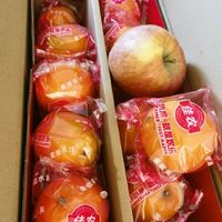 佳农 赣南脐橙5kg装 单果200g-230g 生鲜水果礼盒