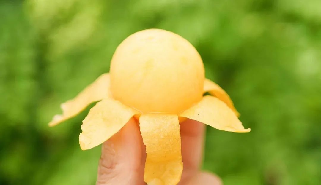 果肉淡黄的青种枇杷 ©图虫创意